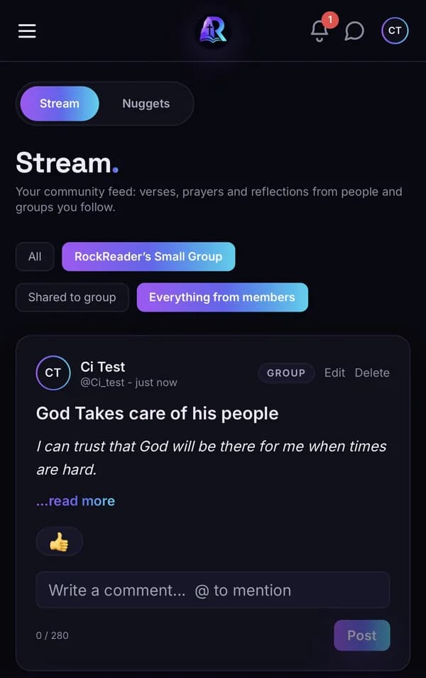Stream filtered to the group, showing the shared entry as a card with a Group badge, the writer's application line, a reaction and a comment box